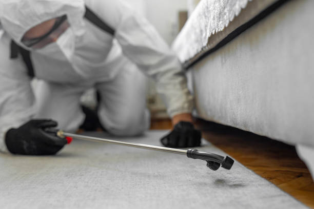 Professional Cockroach Control technician working in Burns Harbor, IN