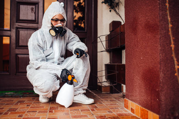 Reliable Cockroach Control contractor in Burns Harbor, IN by Nex Pest Control