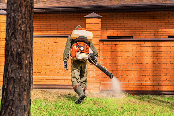 Trusted Bed Bug Control service in Burns Harbor, IN - Nex Pest Control